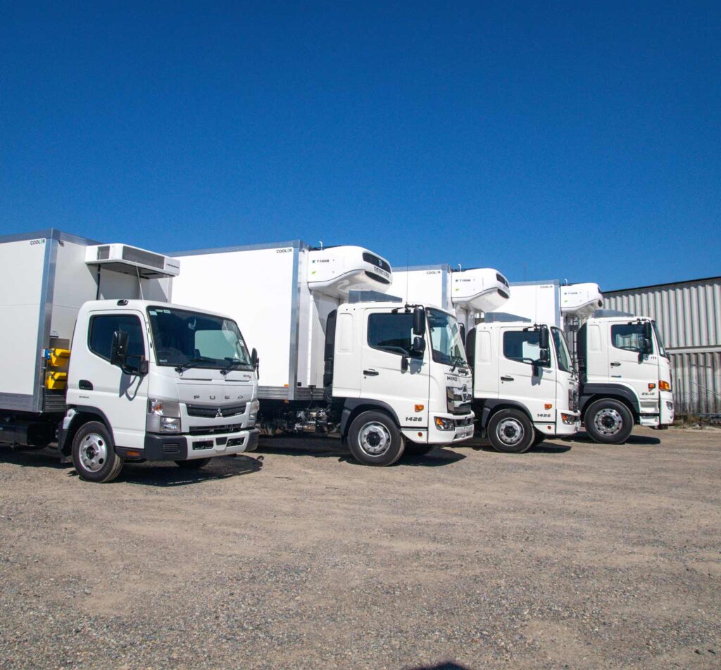 A lineup of white trucks, with some having refrigerated truck bodies.